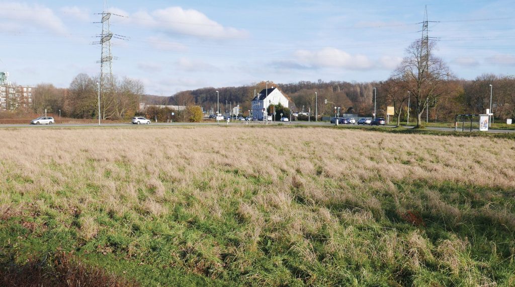 Blick auf das Grundstück am Augustabogen in Dinslaken
